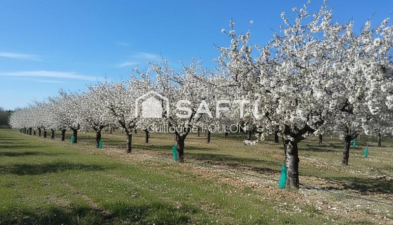 Maison - 240 m² - 10 pièces