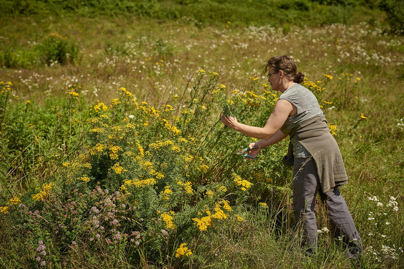 Rencontre d'exception : avec Colette, c'est du champ à l'assiette