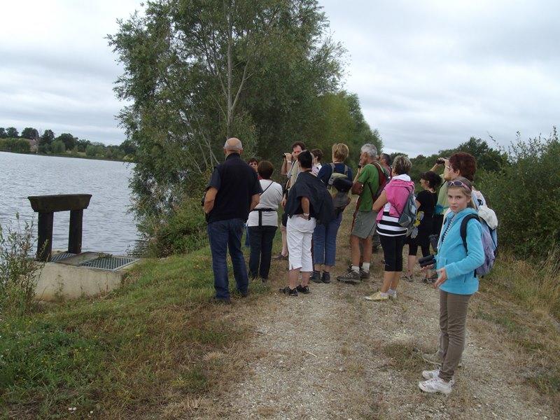 Les oiseaux d'eau du Domaine du Plessis