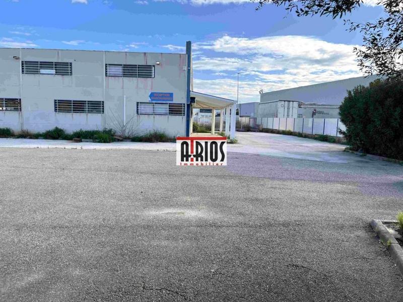 Local d'activité / Entrepôt - 1 915 m²