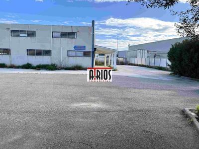 Local d'activité / Entrepôt - 1 915 m²