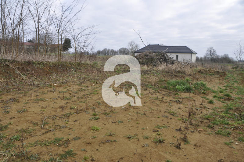 Terrain - 1 200 m²