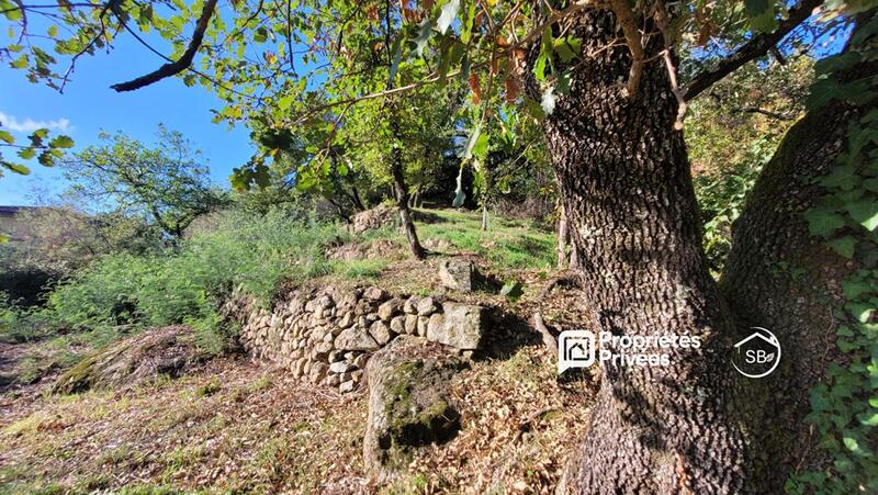 Terrain constructible - 785 m²