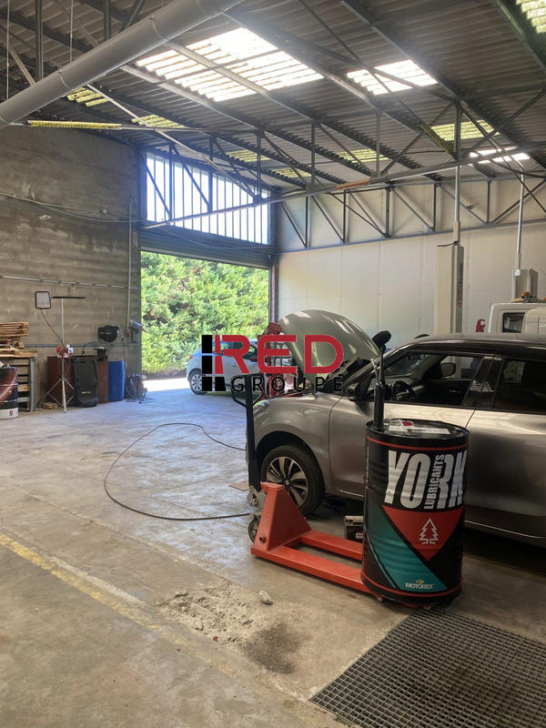 Local d'activités - 594 m²