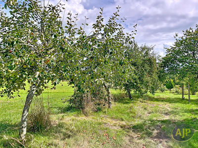 Maison - 73 m² - 5 pièces