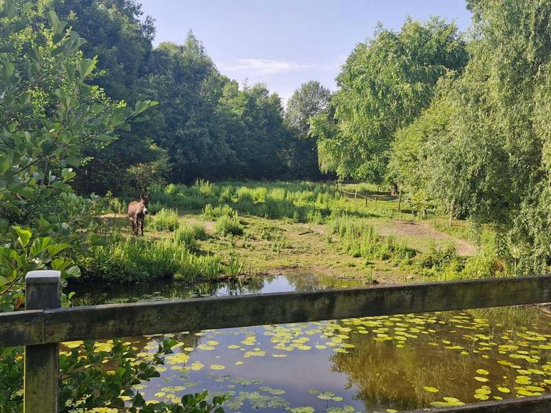 Maison - 422 m² - 15 pièces