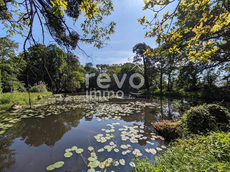 Étang - 8 580 m²