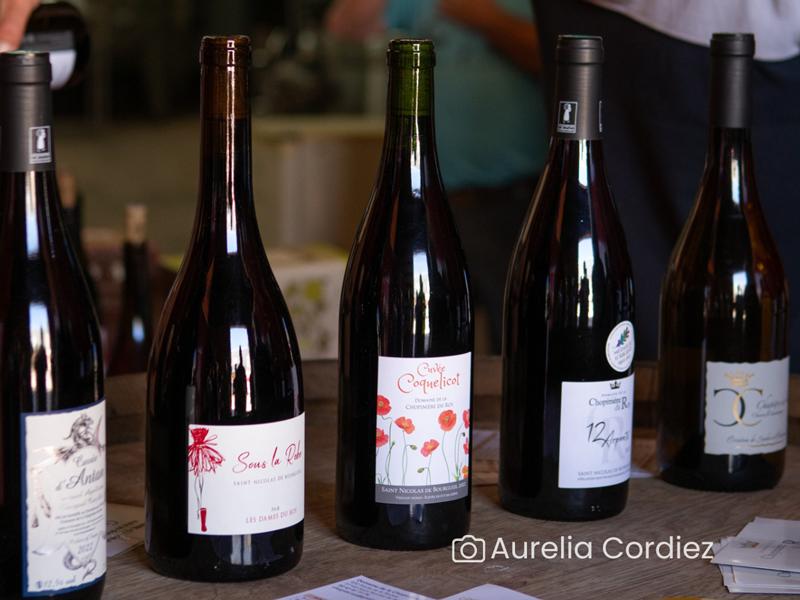 Randonnée commentée dans les vignes