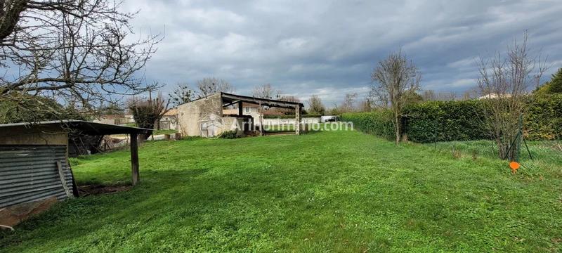 Terrain - 4 979 m²