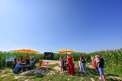 Pop Corn Labyrinthe Caen (Frénouville)