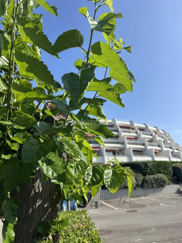 Studio - 18 m² - 1 pièce