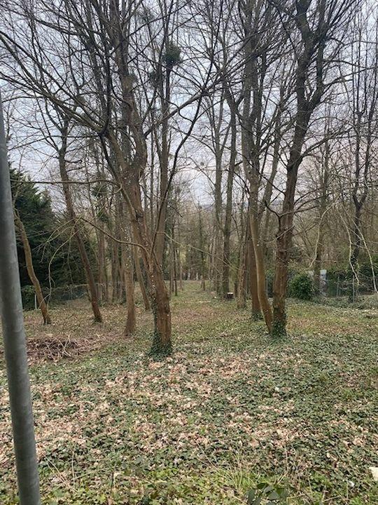 Terrain de loisirs - 1 614 m²