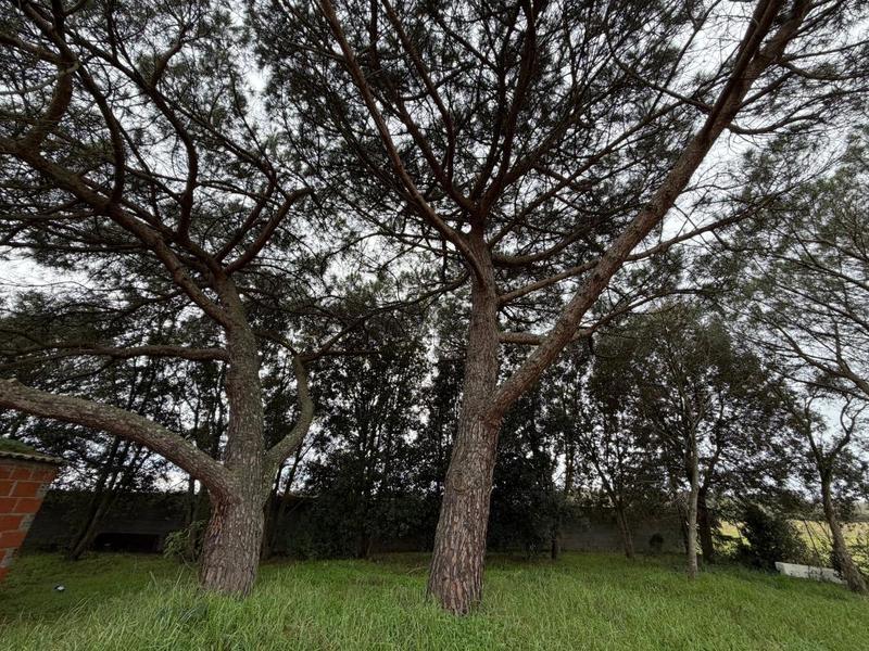 Maison - 61 m² - 2 pièces