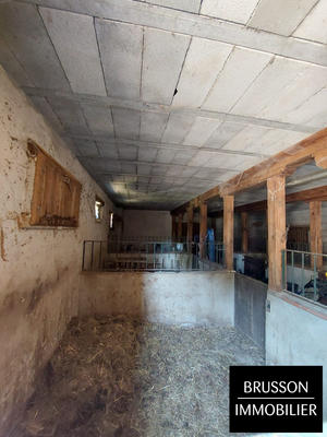 Maison ancienne - 230 m² - 14 pièces