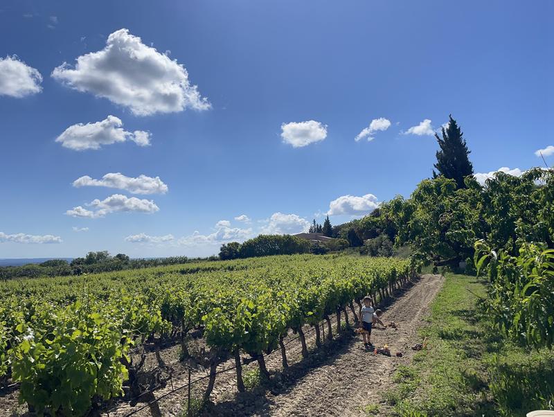 Les Lambesc'apades : Visite de la Couëlle et de son exploitation agricole