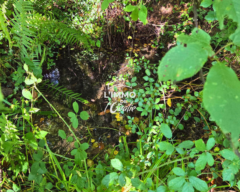 Maison - 70 m² - 4 pièces