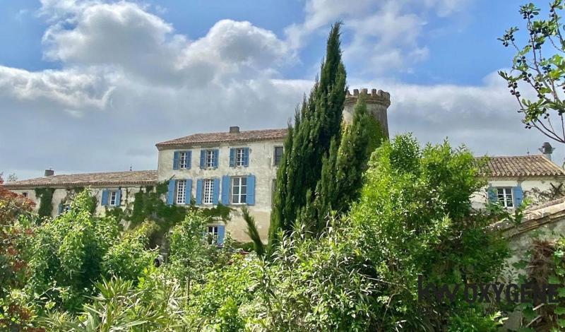 Château - 880 m² - 25 pièces