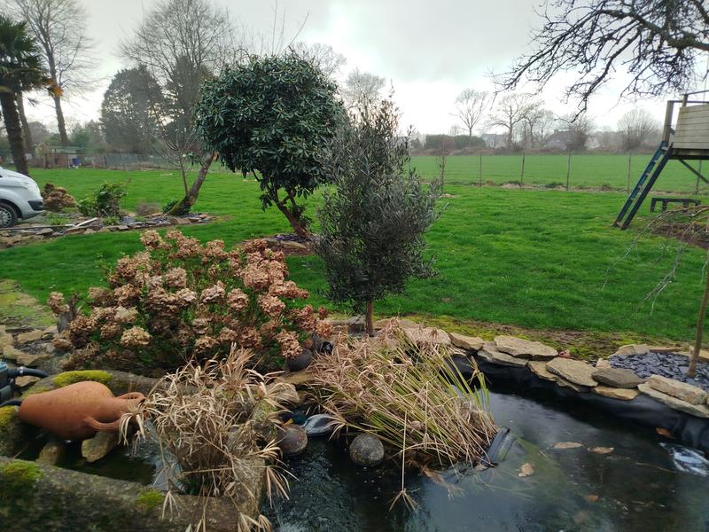 Maison ancienne - 154 m² - 6 pièces