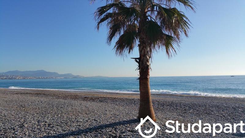 Appartement - 30 m² - 2 pièces