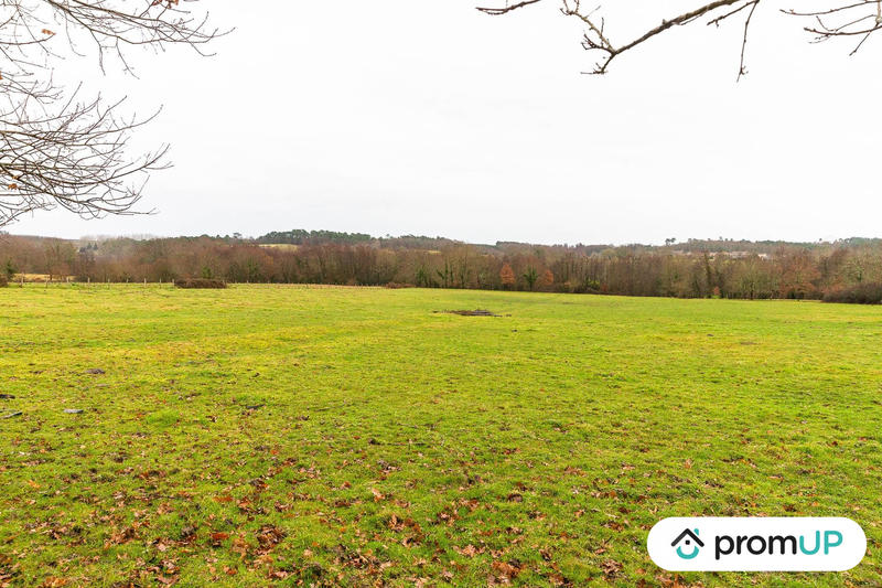 Terrain agricole - 50 040 m²