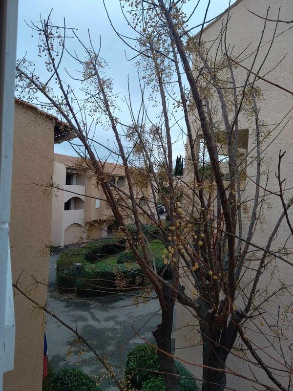 Appartement - 35 m² - 2 pièces