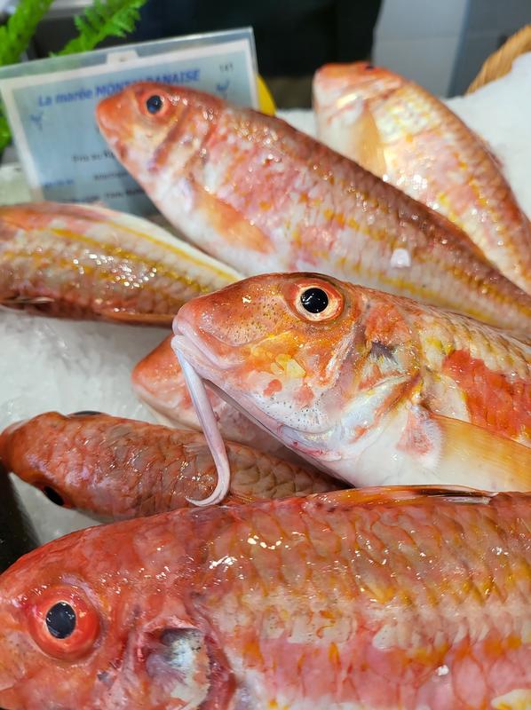 La Marée Montalbanaise