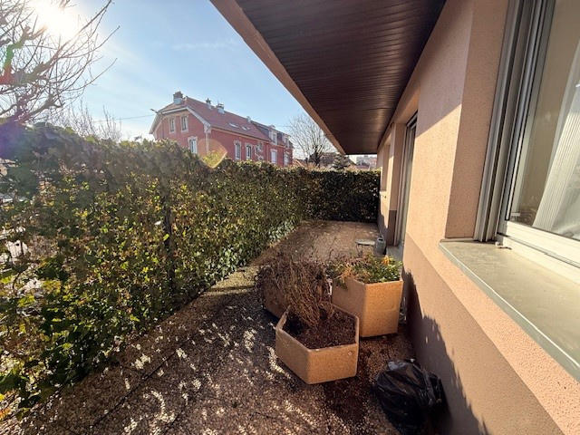 Appartement - 55 m² - 2 pièces