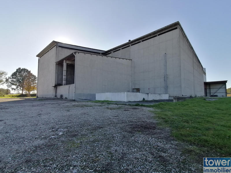 Local d'activités - 2 925 m²