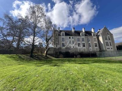 Château - 2 000 m² - 50 pièces