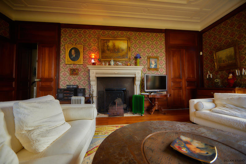 Château - 1 700 m² - 33 pièces