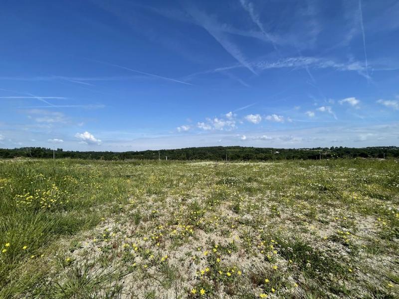 Terrain - 1 267 m²