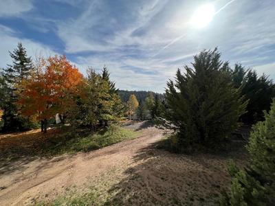 Maison - 1 238 m² - 20 pièces