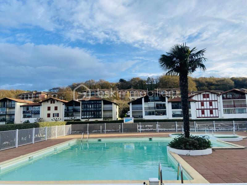 Studio - 30 m² - 1 pièce