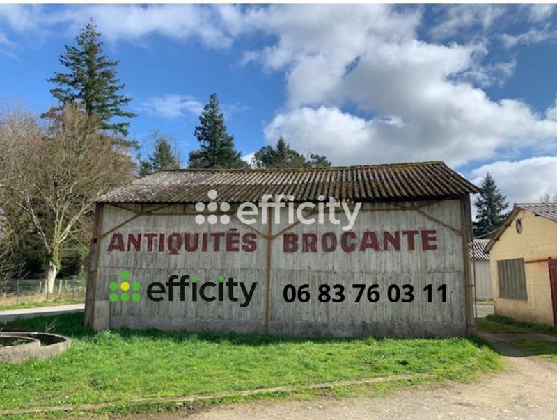 Local d'activité / Entrepôt - 4 269 m² - 1 pièce