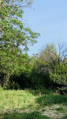 Terrain constructible - 450 m²