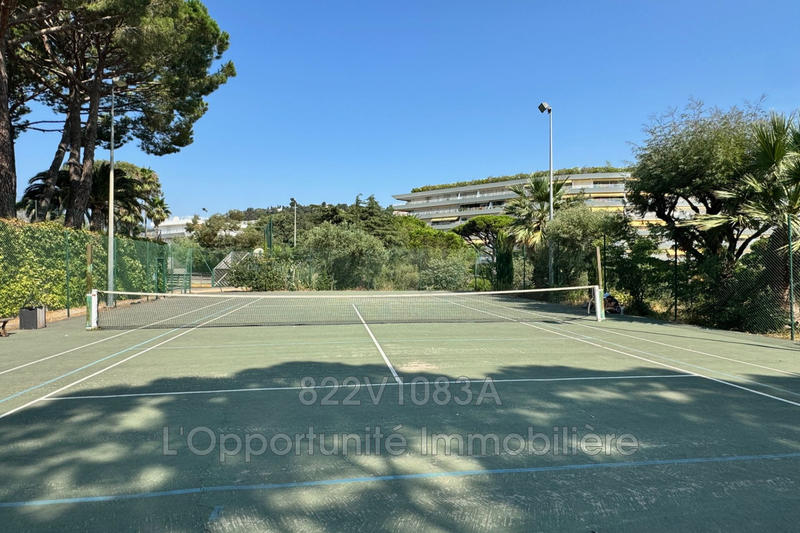 Appartement - 31 m² - 2 pièces