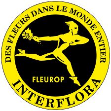 Laurent B. Artisan Fleuriste