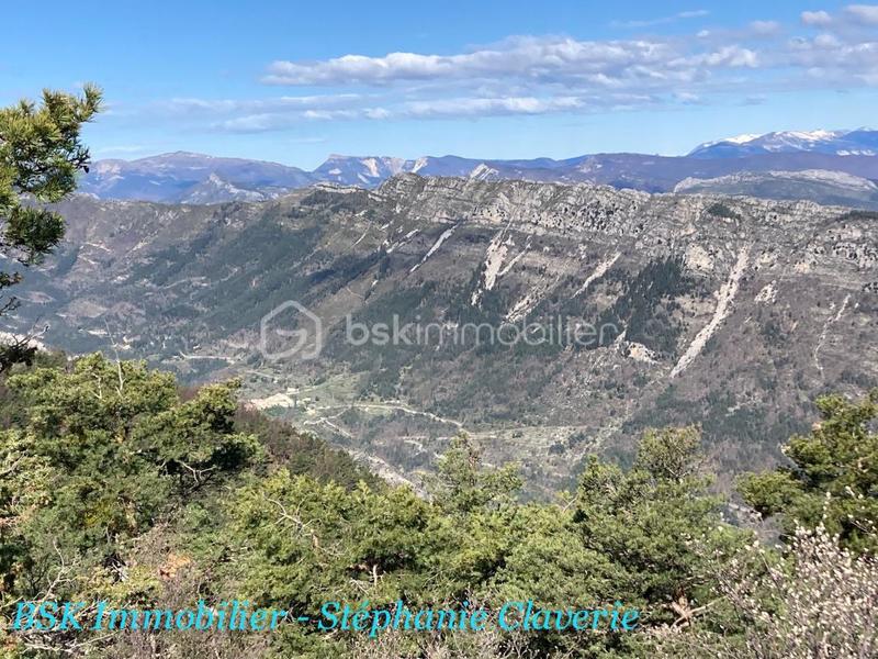 Terrain agricole - 10 100 m²