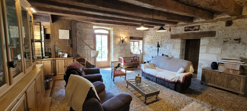 Viager - Maison - 515 m² - 17 pièces