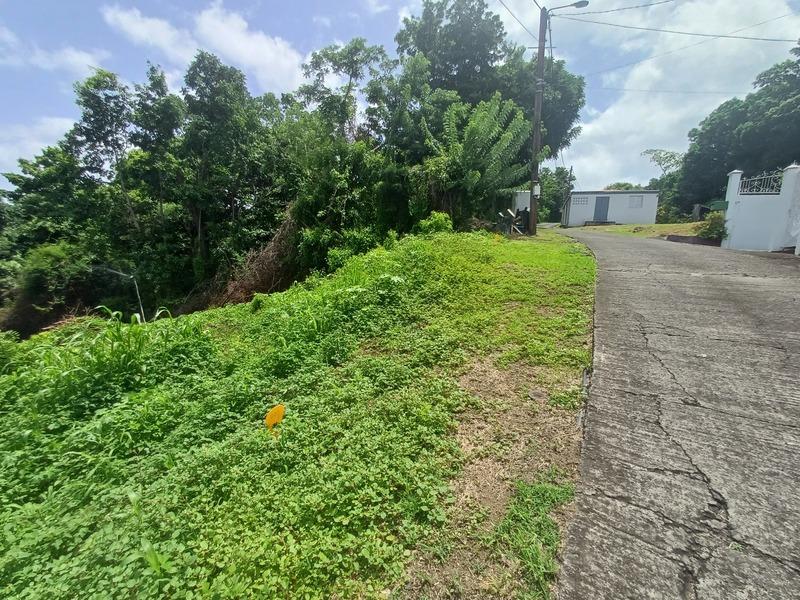 Terrain constructible - 1 000 m²