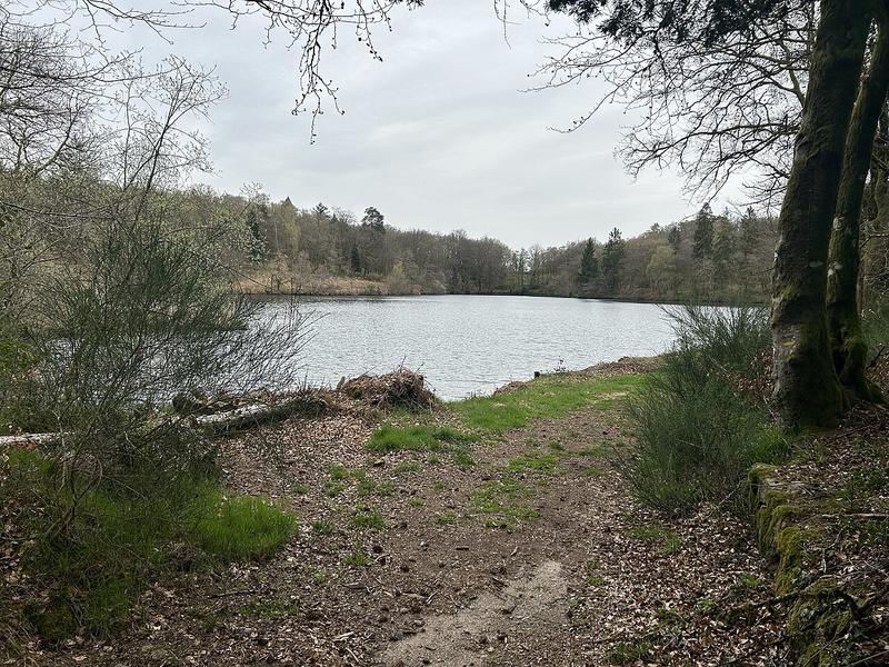 Fête de la nature : « Trop Sauvages »