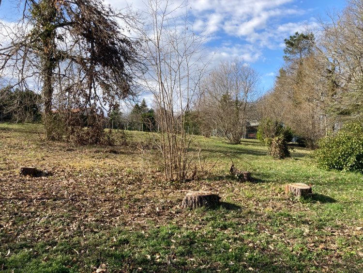 Terrain constructible - 1 402 m²