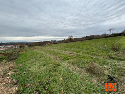 Terrain - 540 m²
