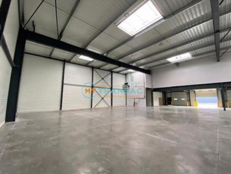 Local d'activité / Entrepôt - 181 m²