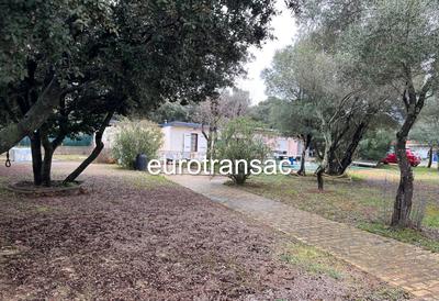 Maison ancienne - 78 m² - 3 pièces