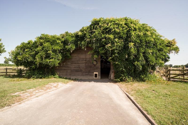 Haras - 352 m² - 8 pièces