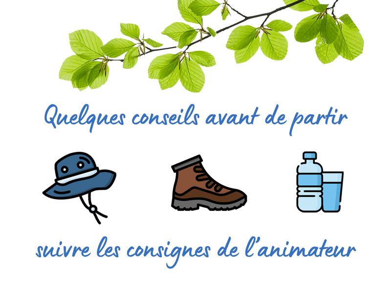 Randonnée pédestre avec "Les Godillots de Saint-Marc" à Farges