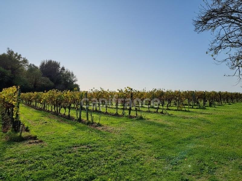 Propriété - 144 m² - 5 pièces