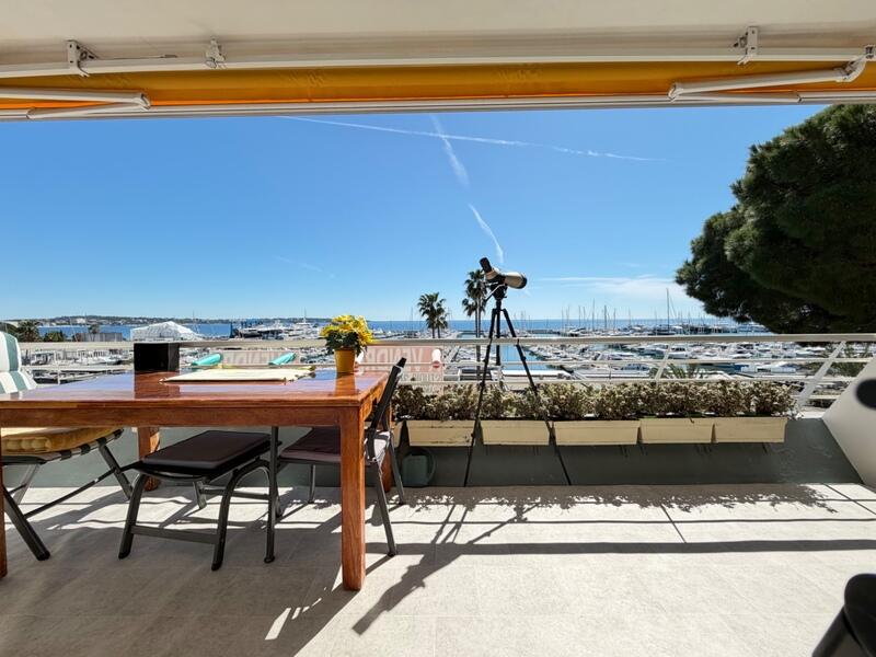 Appartement - 31 m² - 1 pièce