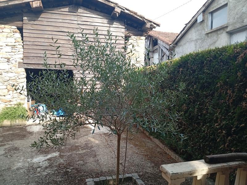 Maison bourgeoise - 200 m² - 7 pièces